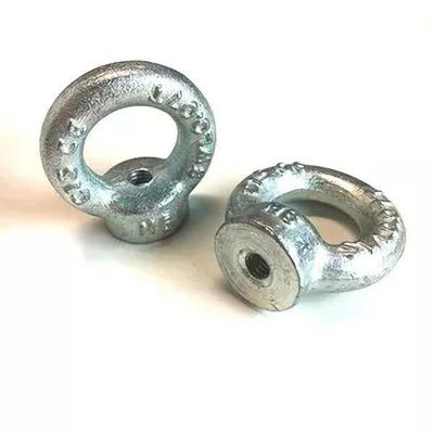 JIS B1168 гальванизировало гайки подъемной скобы DIN582 SS304