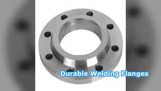 Фланцы с приварной шейкой SS304 SS316 PN6